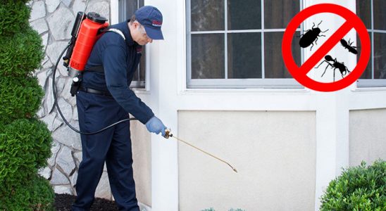 Karakeçili Fare İlaçlama böcek ilaçlama ve haşere kontrolü — ilaclama-tr.com